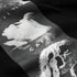 Skateboard Cafe - Swan Hoodie